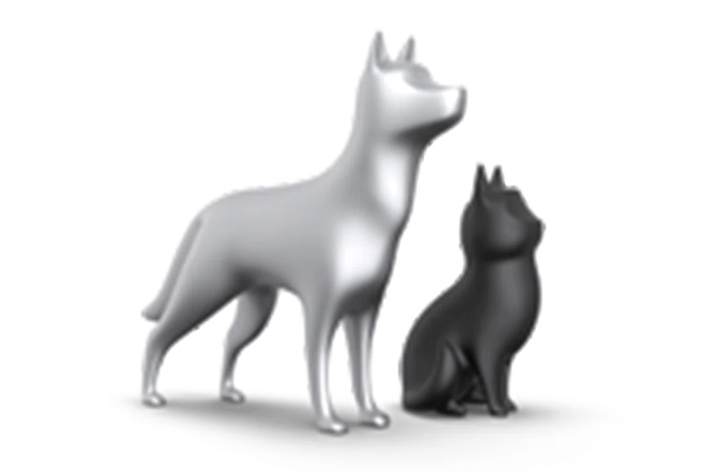Pet+